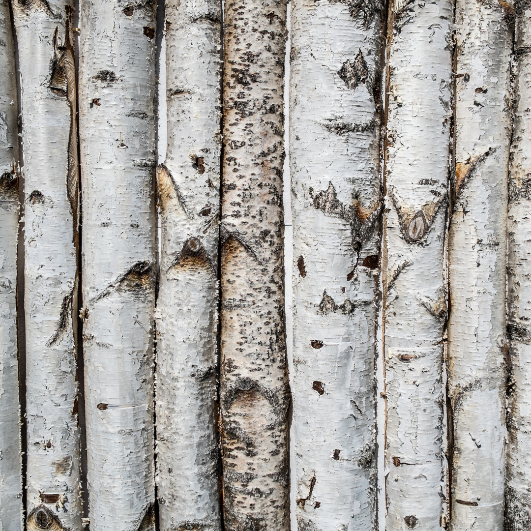 White Willow Bark Peeling Mask Nannic