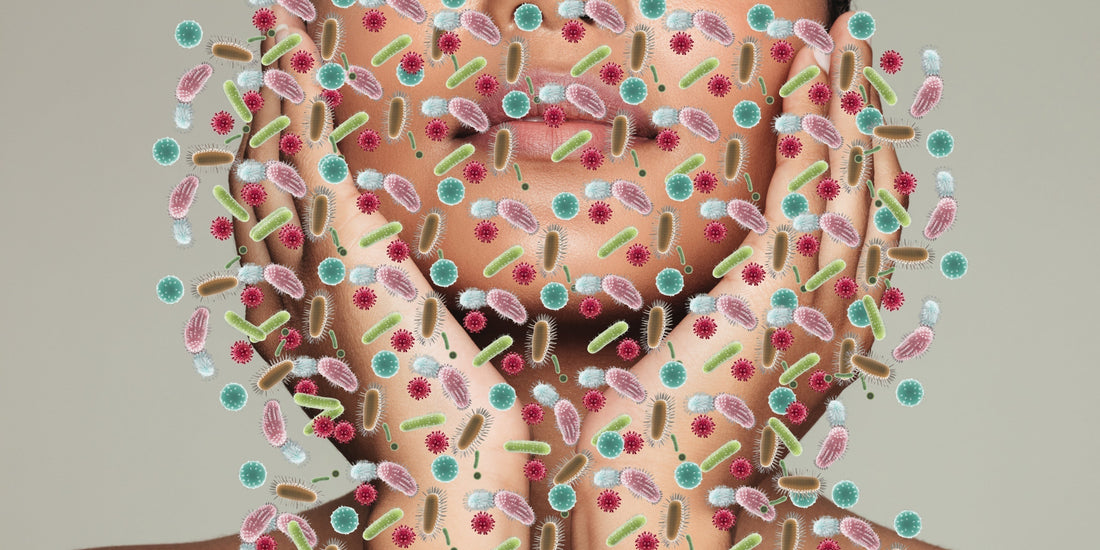 Waarom prebiotica en probiotica de sleutel zijn tot een huid in balans- herstel je microbioom I Skincare Boulevard