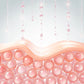 Collagen Boost - Skincare Boulevard