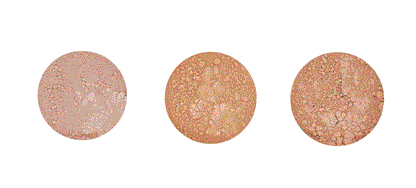 Loose Mineral Foundation non-refill Skincare Boulevard