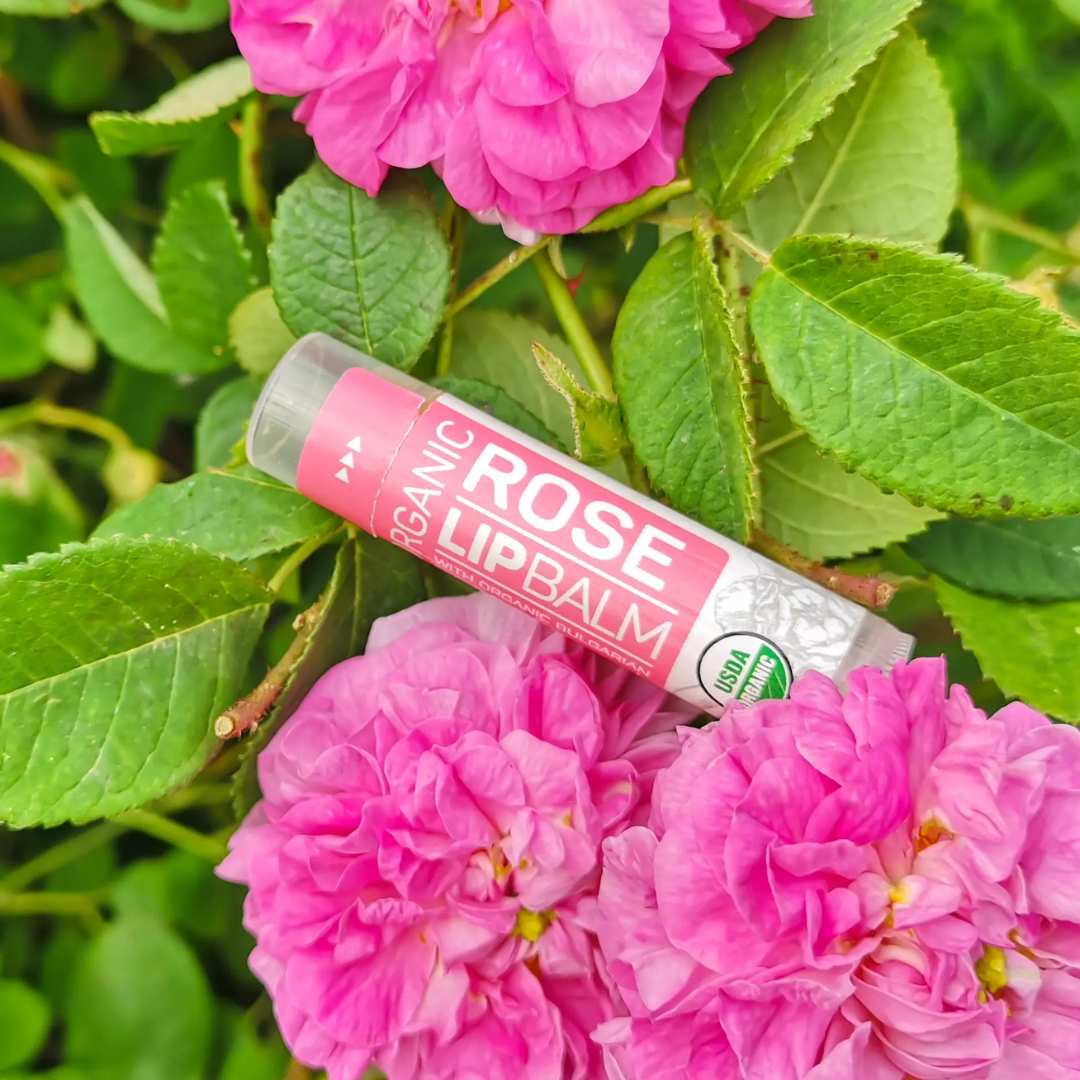 Organic Lip Balm