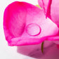 Rozenwater - biologisch en 100% puur - Skincare Boulevard