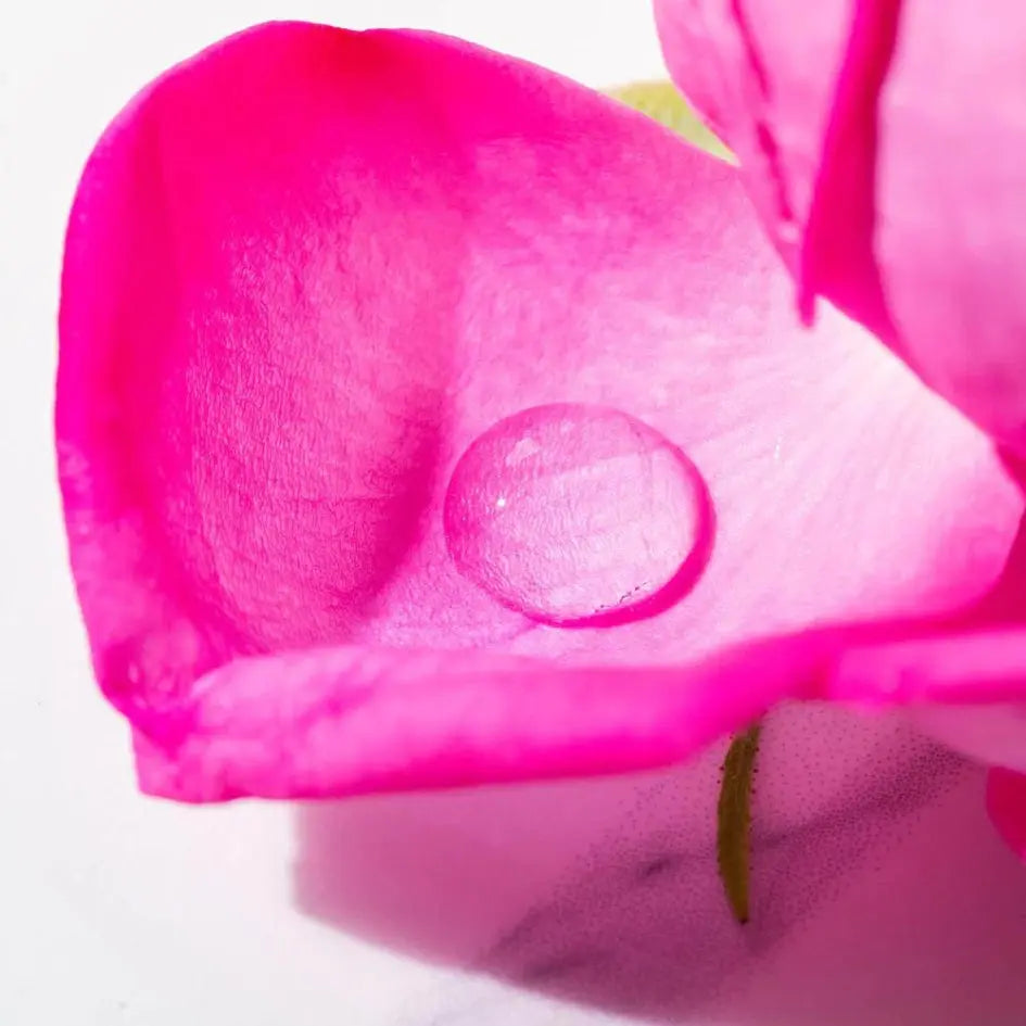Rozenwater - biologisch en 100% puur - Skincare Boulevard